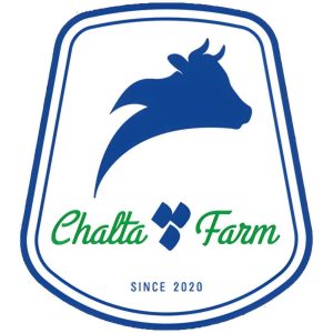 لبنیات چلتافارم